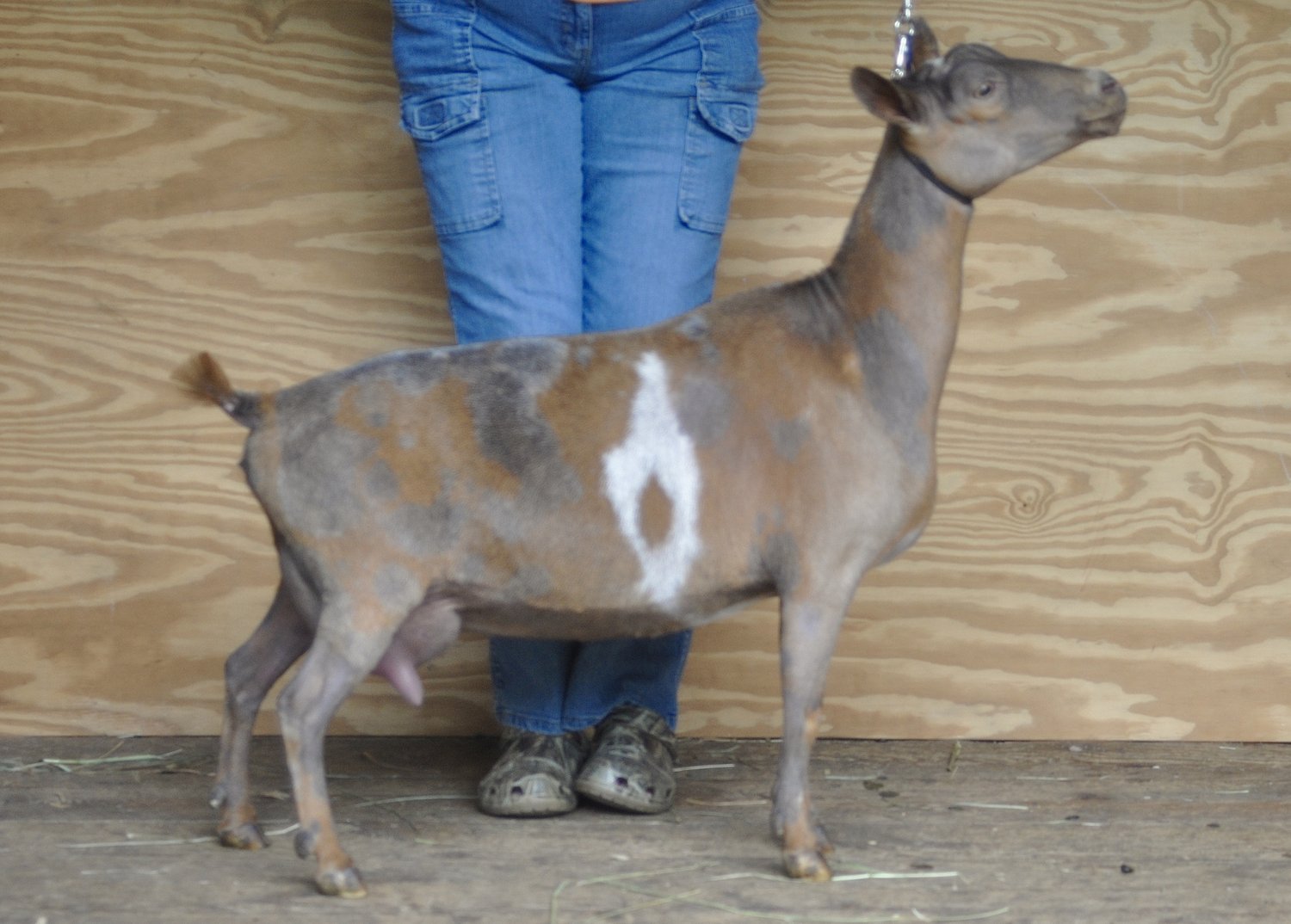 RELATIVE side view