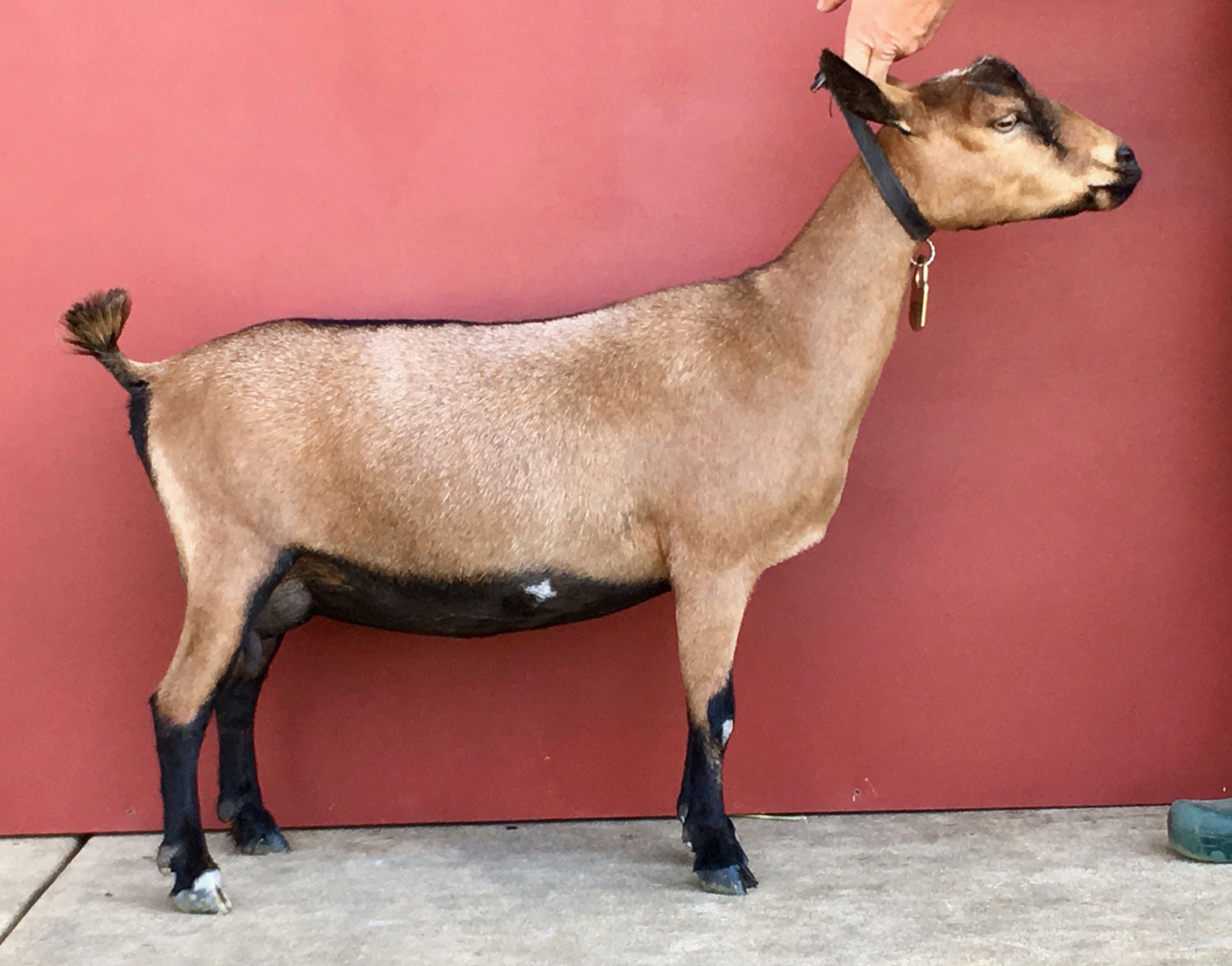 side view