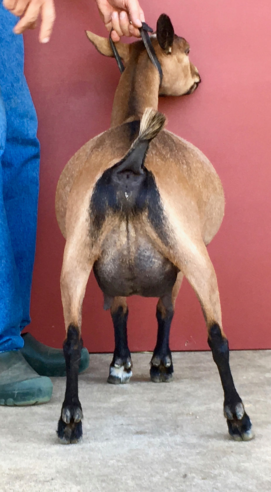 side view